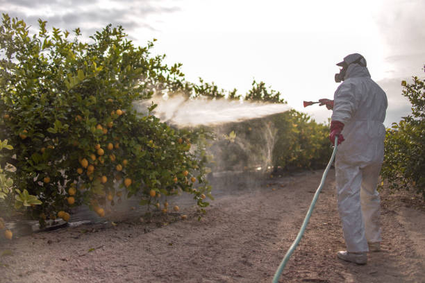 Best Commercial Pest Control Services  in Simsbury Center, CT