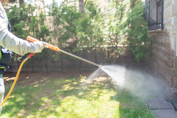 Best Flea Control Services  in Simsbury Center, CT