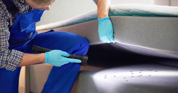 Best Best Pest Control Companies  in Simsbury Center, CT