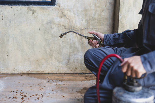Best Wasp Removal Services  in Simsbury Center, CT